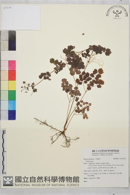 登錄號:S123523藏品圖，第1張