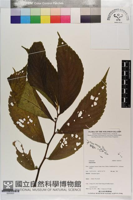登錄號:S203523藏品圖，第1張