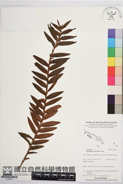 登錄號:S196003藏品圖，第1張