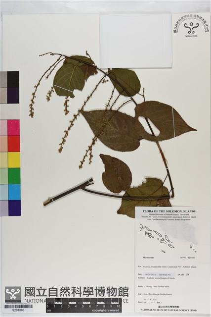 登錄號:S201003藏品圖，第1張