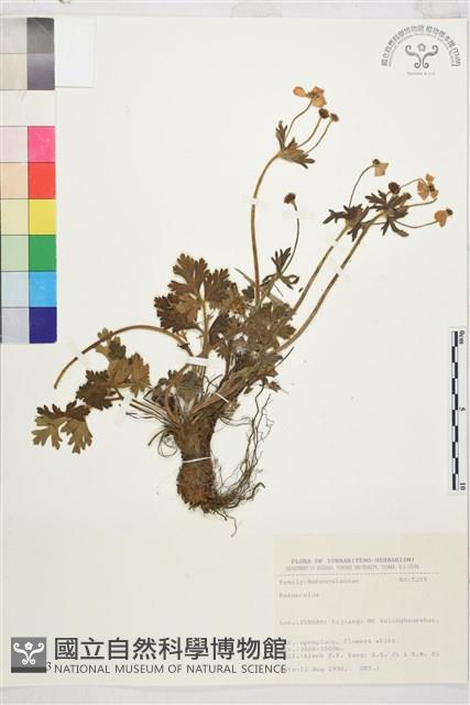 登錄號:S031703藏品圖，第1張