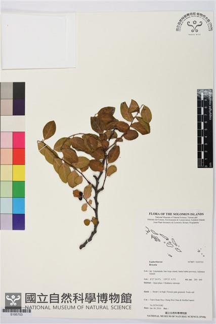 登錄號:S195703藏品圖，第1張