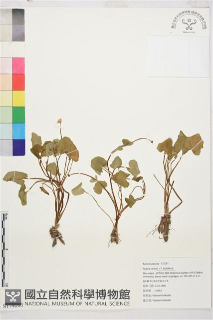 登錄號:S174203藏品圖，第1張