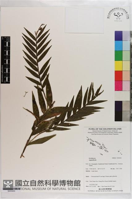 登錄號:S203203藏品圖，第1張