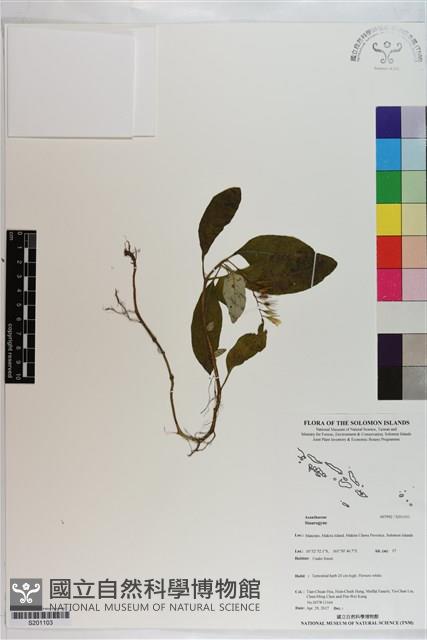 登錄號:S201103藏品圖，第1張