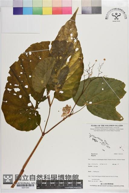 登錄號:S201303藏品圖，第1張