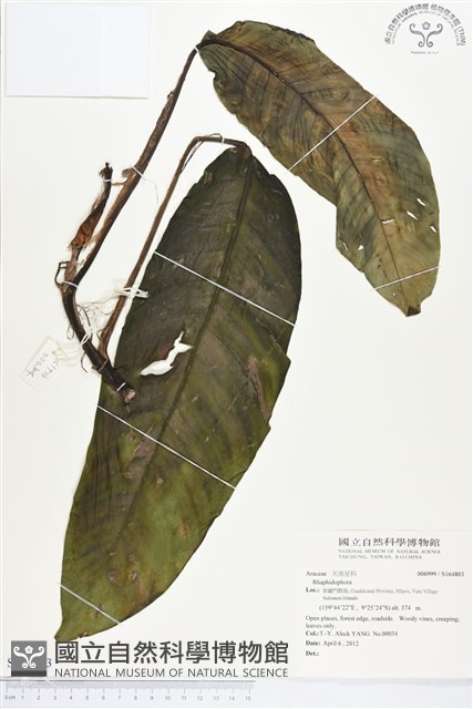 登錄號:S164803藏品圖，第1張