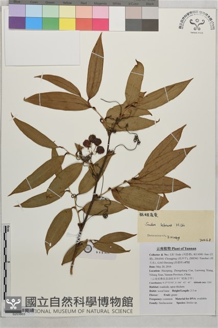 登錄號:S203803藏品圖，第1張