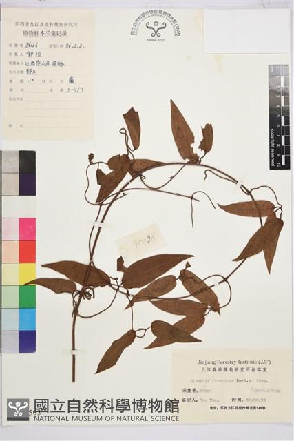 山木通藏品圖，第1張