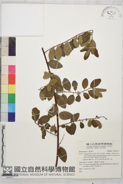 Accession Number:S203613 Collection Image