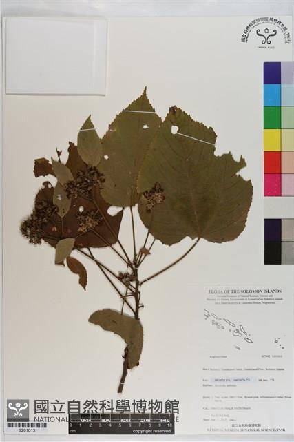 登錄號:S201013藏品圖，第1張