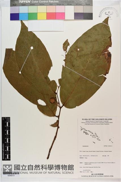 登錄號:S200213藏品圖，第1張