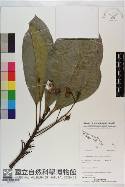 登錄號:S201213藏品圖，第1張