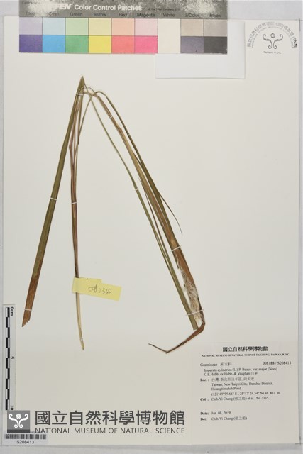 白茅藏品圖，第1張