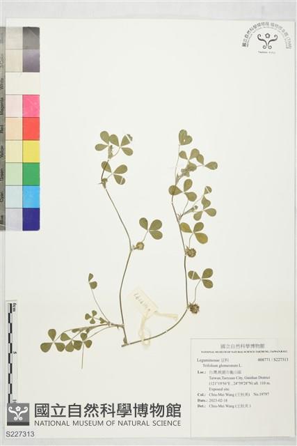 登錄號:S227313藏品圖，第1張