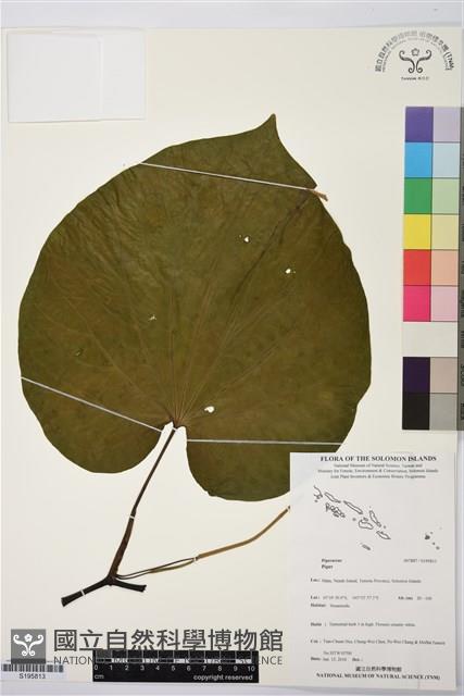 登錄號:S195813藏品圖，第1張