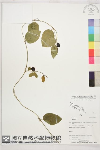 登錄號:S207813藏品圖，第1張