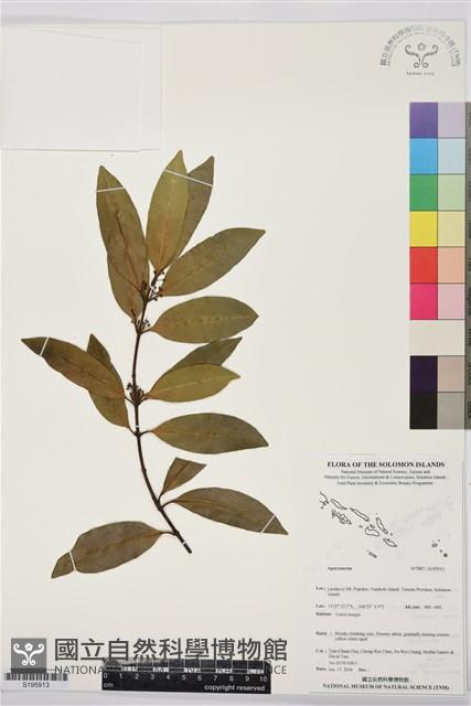 登錄號:S195913藏品圖，第1張