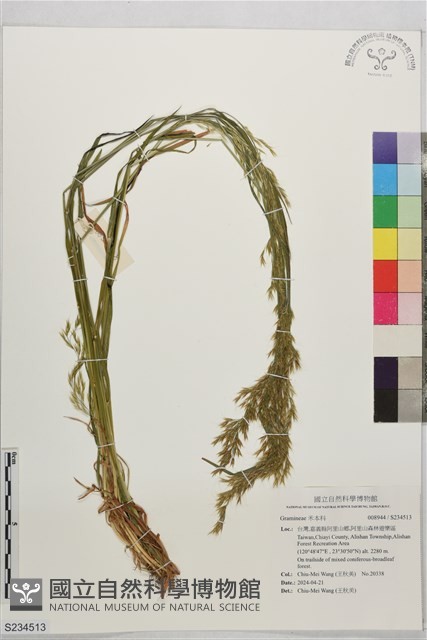 登錄號:S234513藏品圖，第1張
