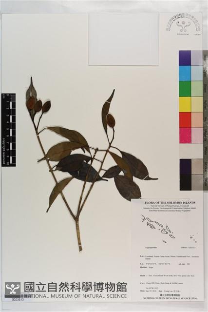 登錄號:S203513藏品圖，第1張