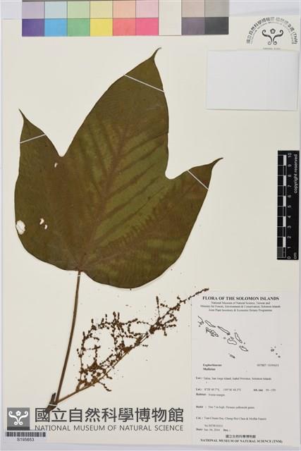 登錄號:S195653藏品圖，第1張