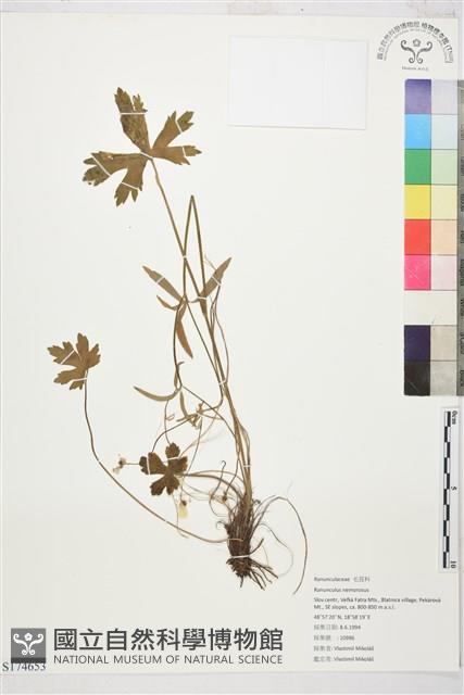 登錄號:S174653藏品圖，第1張