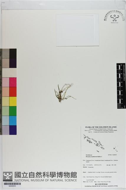 登錄號:S200053藏品圖，第1張