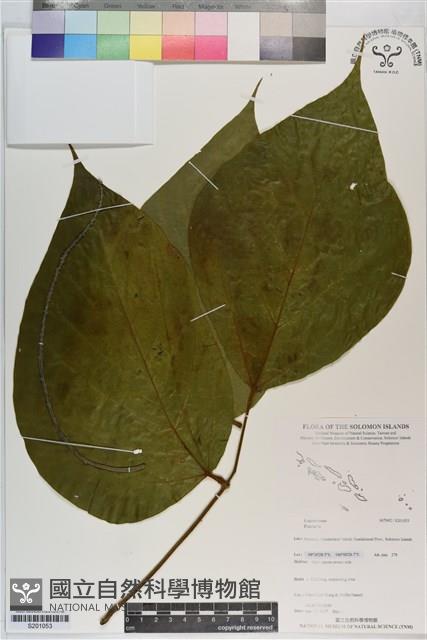 登錄號:S201053藏品圖，第1張