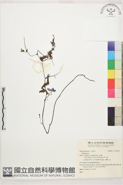 登錄號:S156753藏品圖，第1張