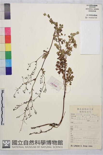 登錄號:S080753藏品圖，第1張