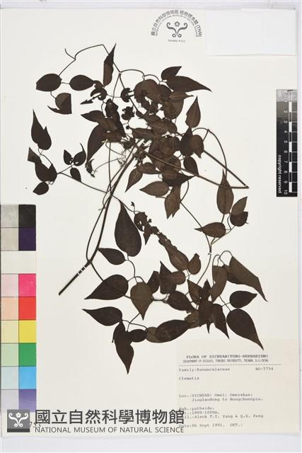 登錄號:S025753藏品圖，第1張