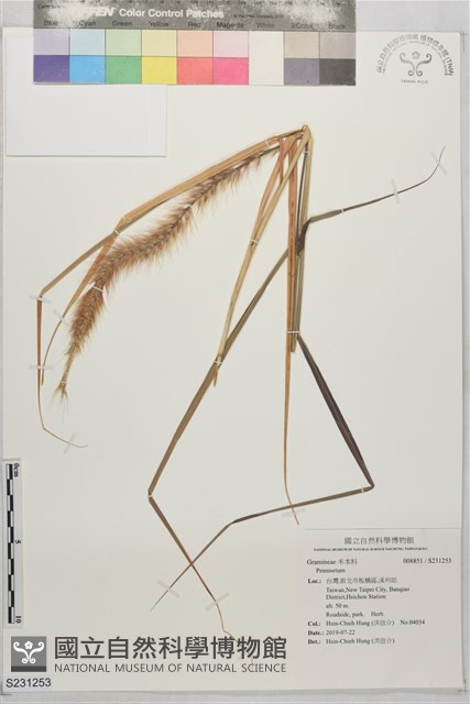 登錄號:S231253藏品圖，第1張