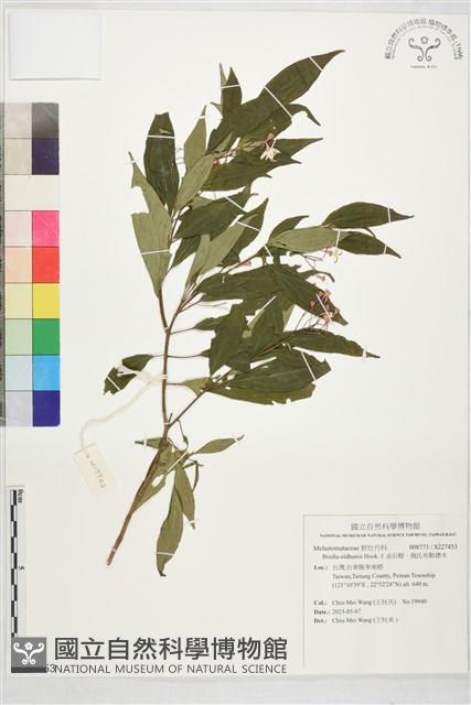 金石榴、俄氏布勒德木藏品圖，第1張