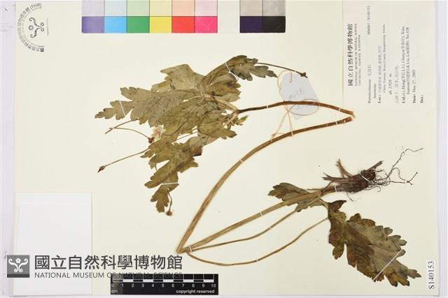 登錄號:S140153藏品圖，第1張