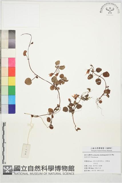 登錄號:S197153藏品圖，第1張