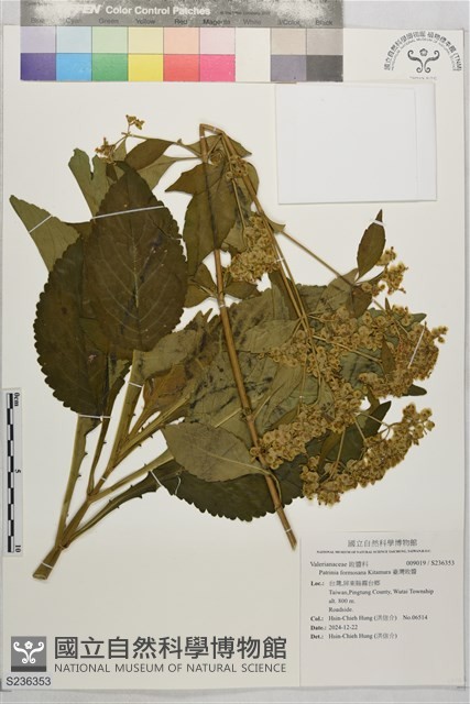 臺灣敗醬藏品圖，第1張