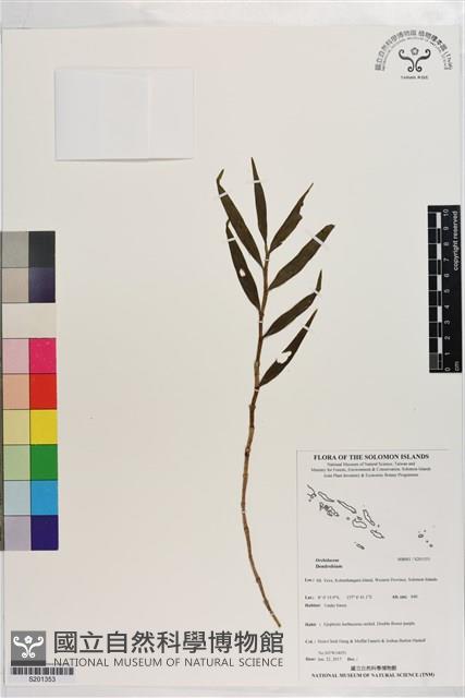 登錄號:S201353藏品圖，第1張