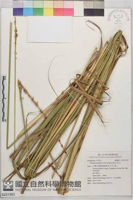 河王八藏品圖，第1張