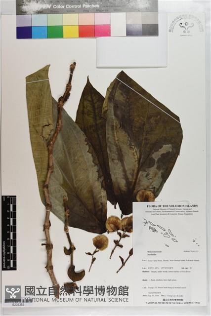 登錄號:S203353藏品圖，第1張