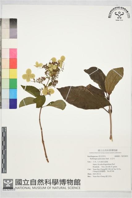 水亞木藏品圖，第1張