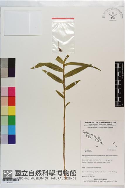 登錄號:S200953藏品圖，第1張