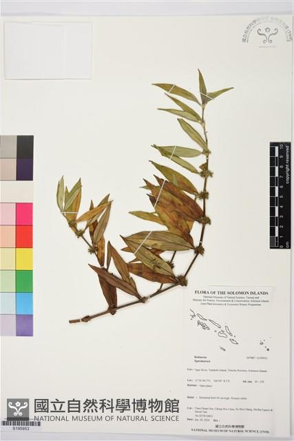 登錄號:S195953藏品圖，第1張