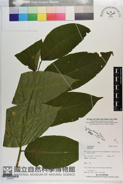 登錄號:S203553藏品圖，第1張