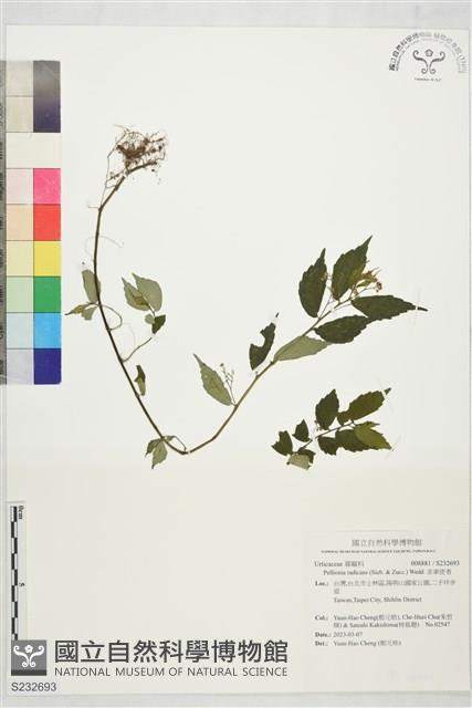 赤車使者藏品圖，第1張