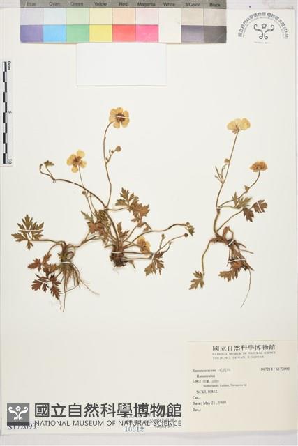 登錄號:S172093藏品圖，第1張