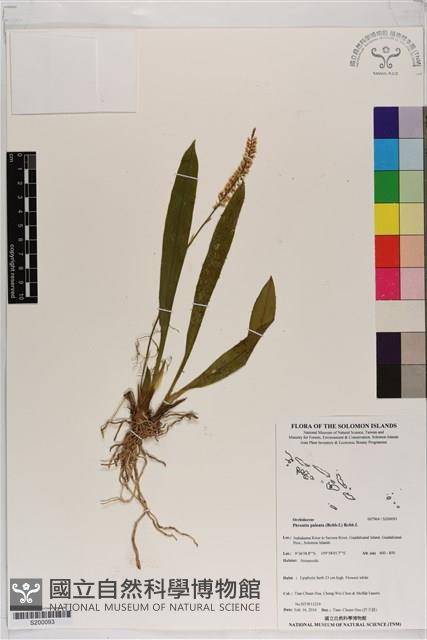 登錄號:S200093藏品圖，第1張