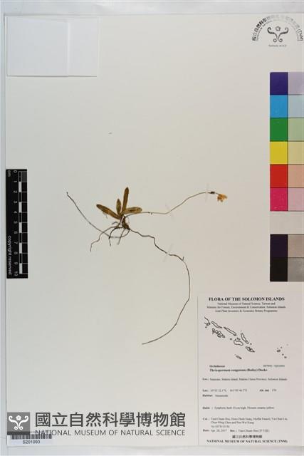 登錄號:S201093藏品圖，第1張