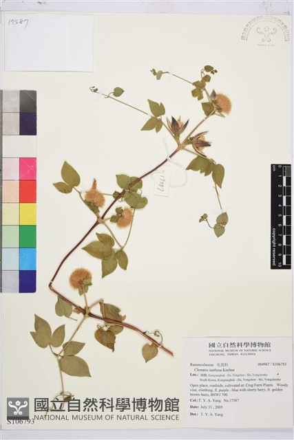 登錄號:S106793藏品圖，第1張