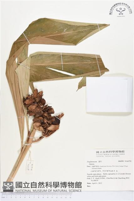 登錄號:S164793藏品圖，第1張