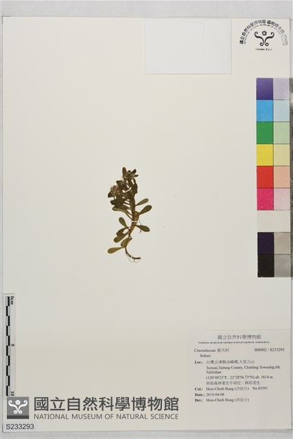 登錄號:S233293藏品圖，第1張